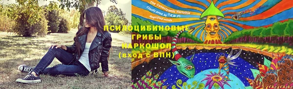 тгк Алексеевка