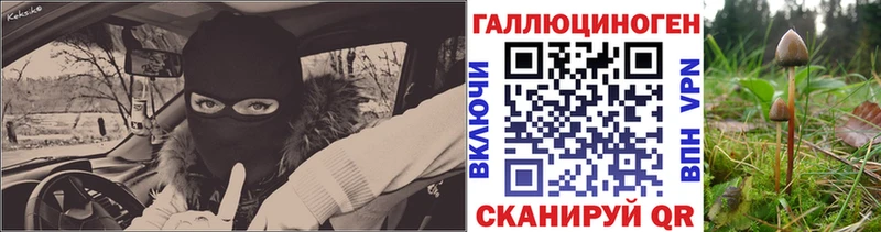 Галлюциногенные грибы прущие грибы  Купить закладки  Ужур 