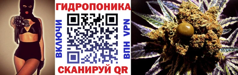 Купить закладки  Ужур  Шишки марихуана гибрид 
